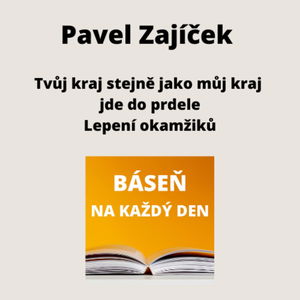 Pavel Zajíček - Tvůj kraj stejně jako můj kraj jde do prdele + Lepení okamžiků