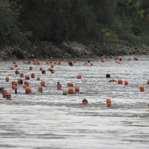 Plávanie cez Dunaj - Trans Danube Swim 2019 (Ľuboš Fellner)