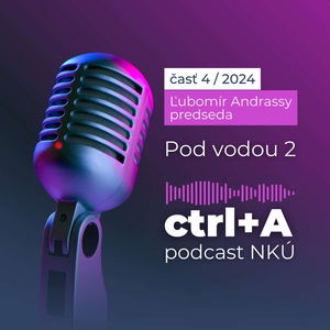 Pod vodou 2 (Ľubomír Andrassy, predseda NKÚ SR)