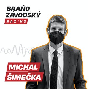 Podľa Šimečku vie Slovensko v Európskom parlamente hrať aj rovnocennú partiu s veľkými hráčmi