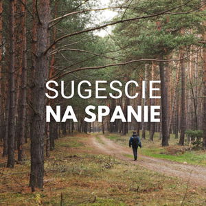 Pokojné sugescie na spanie | Šum borovicového lesa