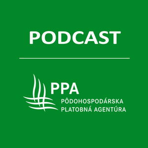 PPA PODCAST VIDEO: Ako sú chránené systémy v agentúre a ako je nastavená prevencia protispoločenských aktivít?