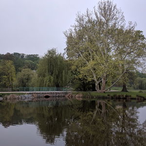 Praha, park Stromovka