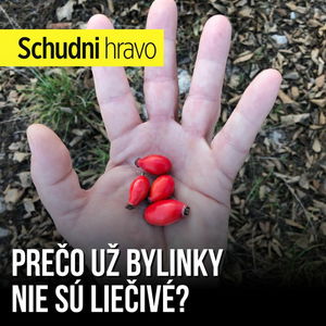 Prečo už bylinky nie sú liečivé?