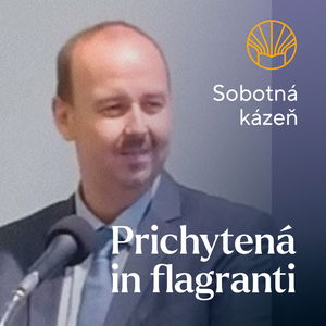 📖 Prichytená in flagranti • Pavel Moudrý