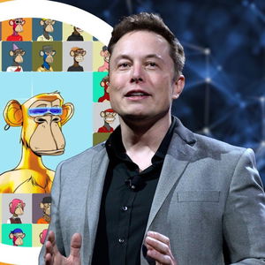 Proč jsem prodal kryptoměny? 💱 | Koupil si Elon Musk opici? 🐵 | BIP 119 📃 - CEx 05/05/2022