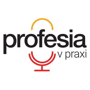 Profesia v praxi