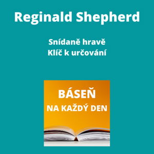 Reginald Shepherd - Snídaně hravě + Klíč k určování