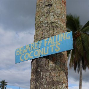S3E4: SAMOA - Mierili na nás kokosmi