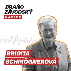 Schmögnerová: Každý minister bude držať stranu veľkým farmárom, pretože vytvárajú väčšie HDP