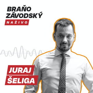 Šeliga: To, že KDH odmietlo spojiť pred voľbami sily s Demokratmi, nech si vysvetlí voličom