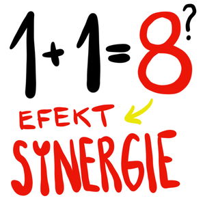 SYNERGIE - Nejdůležitější návyk úspěšných lidí