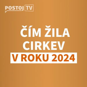 Synoda bude dedičstvom Františka, doma niekedy chýbal hlas biskupov. Aký bol rok 2024 pre cirkev?