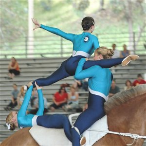 Tanec a gymnastika na koni - voltíž (Rado Psota)
