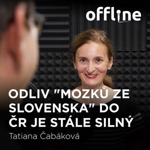 Tatiana Čabáková: Odliv "mozků ze Slovenska" do ČR je stále silný