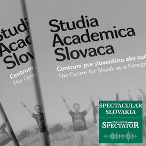 The definitive guide to learning Slovak