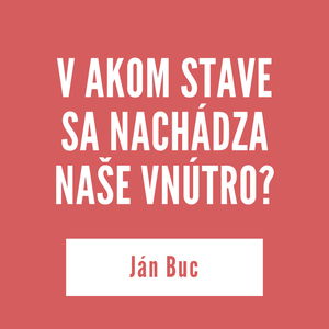 V AKOM STAVE SA NACHÁDZA NAŠE VNÚTRO? | Ján Buc