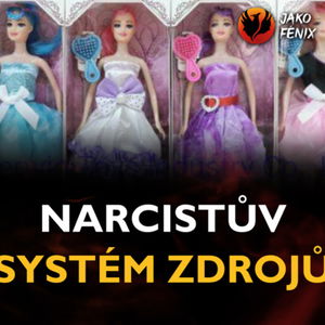 V jaké kategorii z narcistova systému zdrojů se nacházíte právě vy?