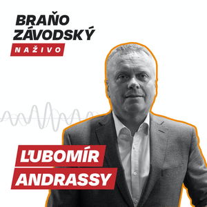 V parlamente je podľa šéfa NKÚ Ľubomíra Andrassyho legislatívna džungľa