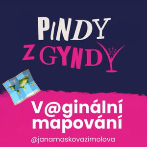 Vaginální mapování 