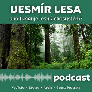 Vesmír lesa: Ako funguje lesný ekosystém?