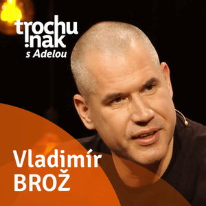 Vladimír Brož