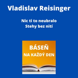 Vladislav Reisinger - Nic ti to neubralo + Stehy bez nití