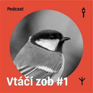 Vtáčí zob #1 — Sýkorka veľká (Samuel Sabol, Jakub Lenart)