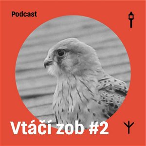 Vtáčí zob #2 — Sokol myšiar (Samuel Sabol, Jakub Lenart)