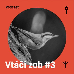 Vtáčí zob #3 — Brhlík obyčajný (Samuel Sabol, Jakub Lenart)