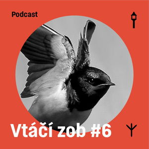 Vtáčí zob #6 — Lastovička obyčajná (Samuel Sabol, Jakub Lenart)