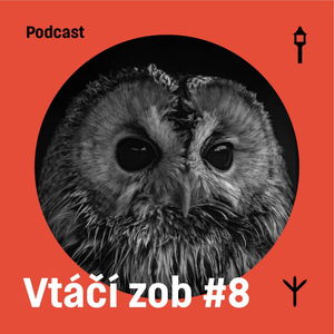 Vtáčí zob #8 — Sova obyčajná (Samuel Sabol, Jakub Lenart)