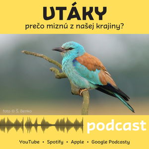 Vtáky - prečo miznú z našej krajiny?