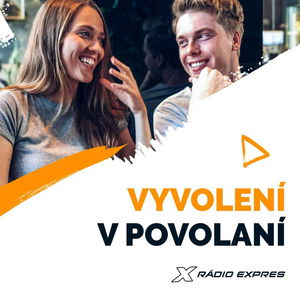 Vyvolení v povolaní