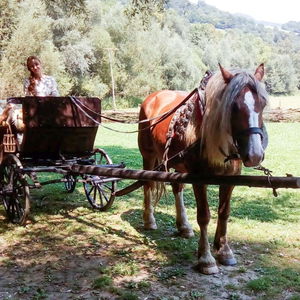 Z nelegálnej skládky vznikol skvelý archeoskanzen