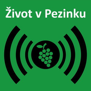 Epizóda 011 - Hovor s ním: Sedem minút denne dieťaťu nestačí